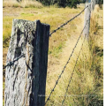 Galvanized Weleded Barbed Wire